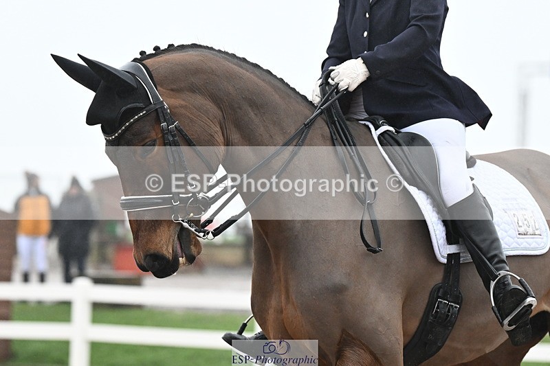 240217A-145111-03727 - 252-Kathryn.Little-Quietly.Does.It