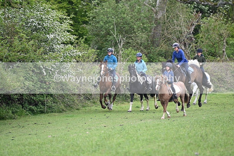 WJ6_2944 - A Camera