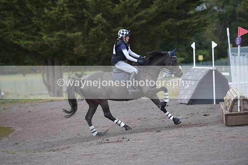 NGP_2356 - XC Time 11:20 to 11:36