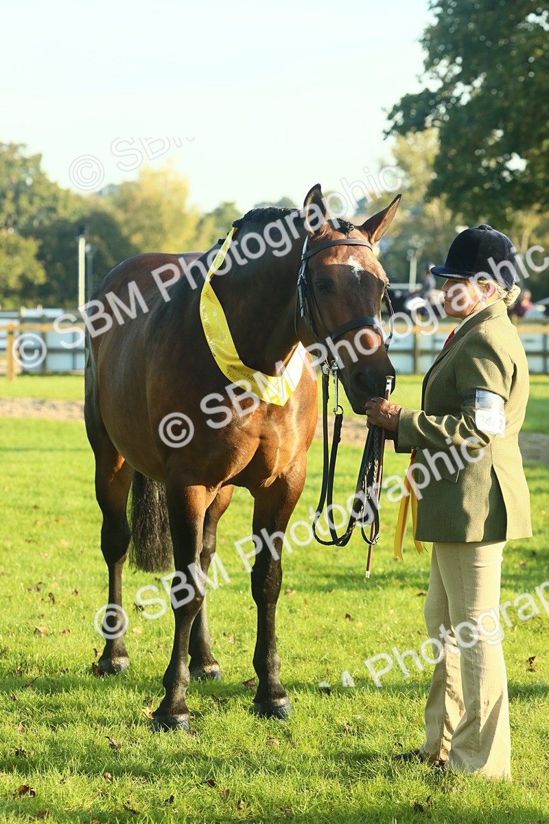 SBM_56755 - S36 - Starters Best Turnout