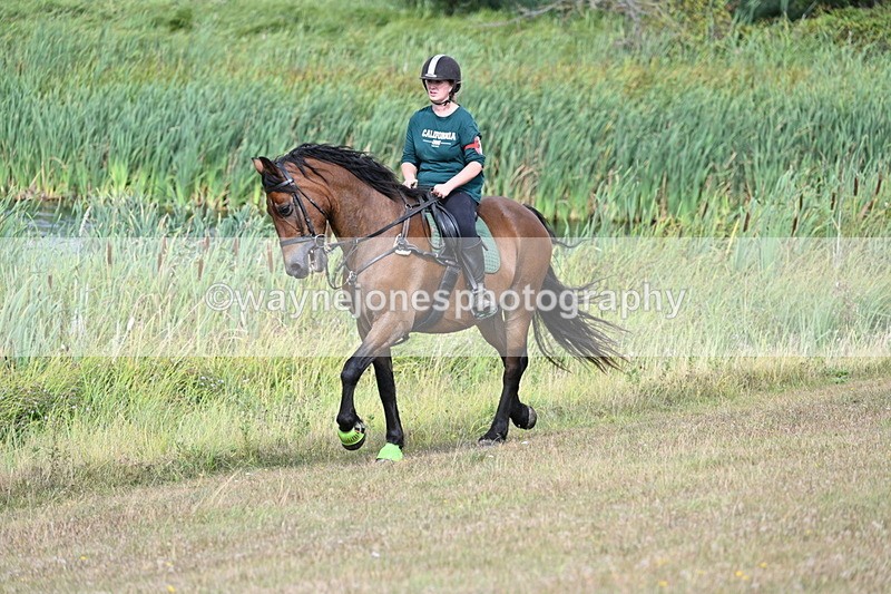 WJ7_4882 - Time 11:17 to 11:22