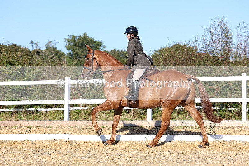 3E7A5206 - Class 7: Novice Ridden Hunter/Hack/RH/Cob