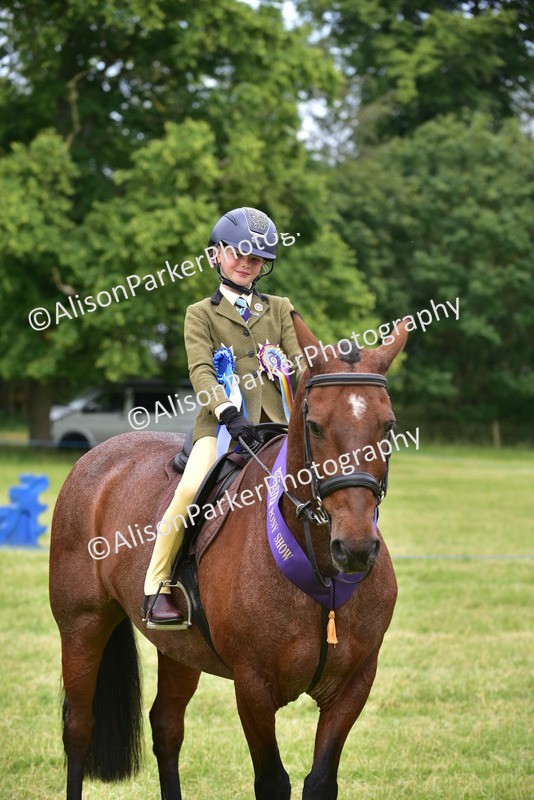 20260614-2709 - Class 13 - Pony Club Pony
