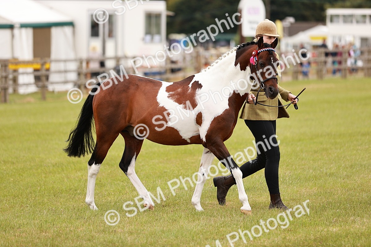 SBM_04603 - Class 5-8 - BSPA In hand