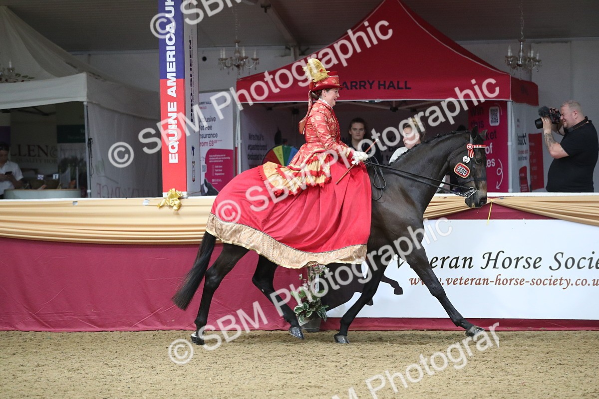 SBM_12119 - Class 107 Ridden Costume- Astride Adult (20+)