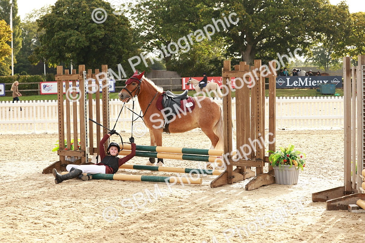SBM_55702 - J11 - Junior Pony 50cm Championship