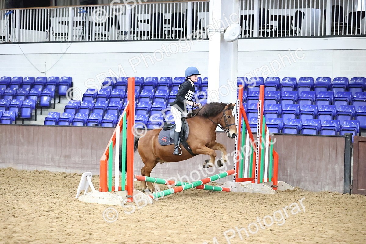 SBM_000155 - Class 2 - The Rug Lady 40cm Area 12 Championship Qualifier