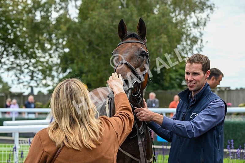 160926-Race 1-Austrian Theory-9329 - Race 1 2.08pm Season Finale Is Next Tuesday Selling Handicap