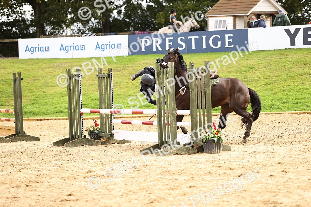 SBM_41089 - J40 Senior Horse & Pony 90cm Supreme Championship
