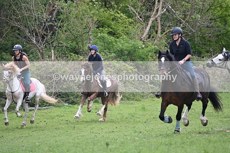 WJ6_3298 - A camera