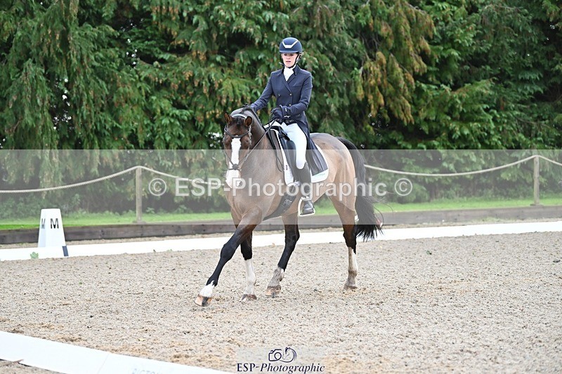 231019-104524-01954 - 103-BEECH.HILL.KIKO.CLOVER-Harriet.Blair-DR