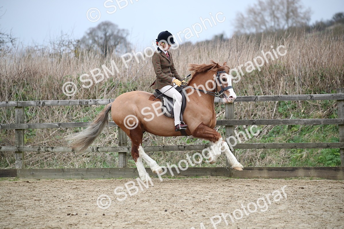 SBM_006113 - Class 10-13 - RIHS Small Large Breeds