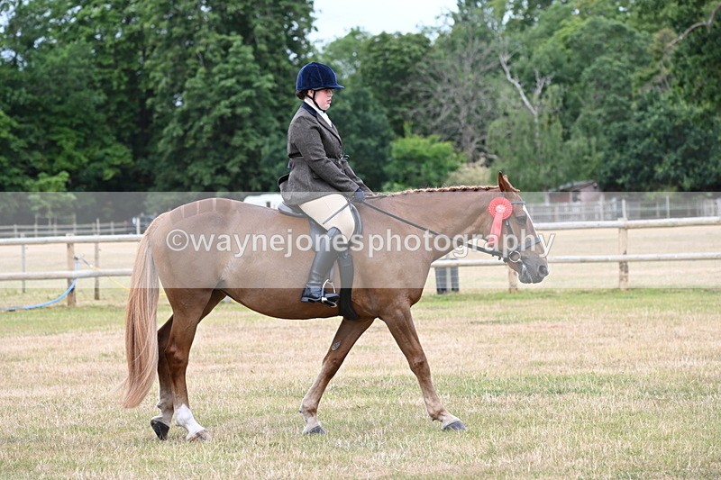 WJ6_4072 - Class 9 Tack & Turnout