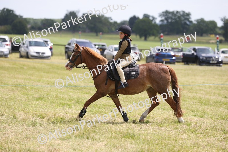 20260614-2007 - Class 21 - Novice Working Hunter Pony