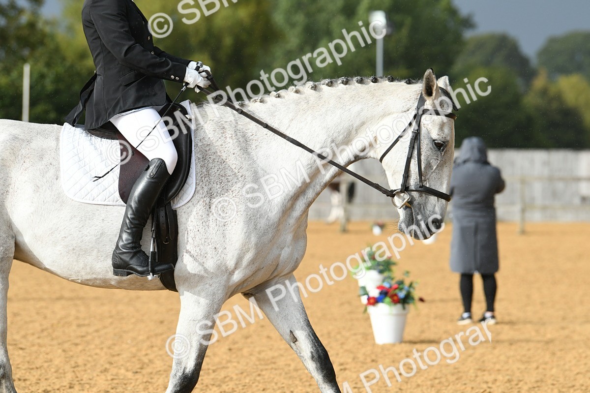 SBM_11163 - D28 Elementary Taster Elementary 42