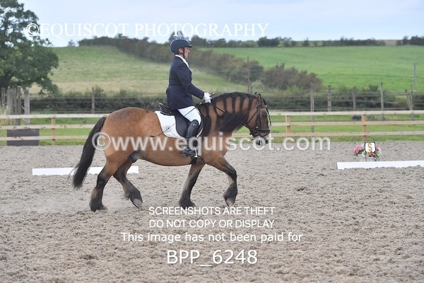 BPP_6248 - ELEMENTARY TEST 4 LONG ARENA