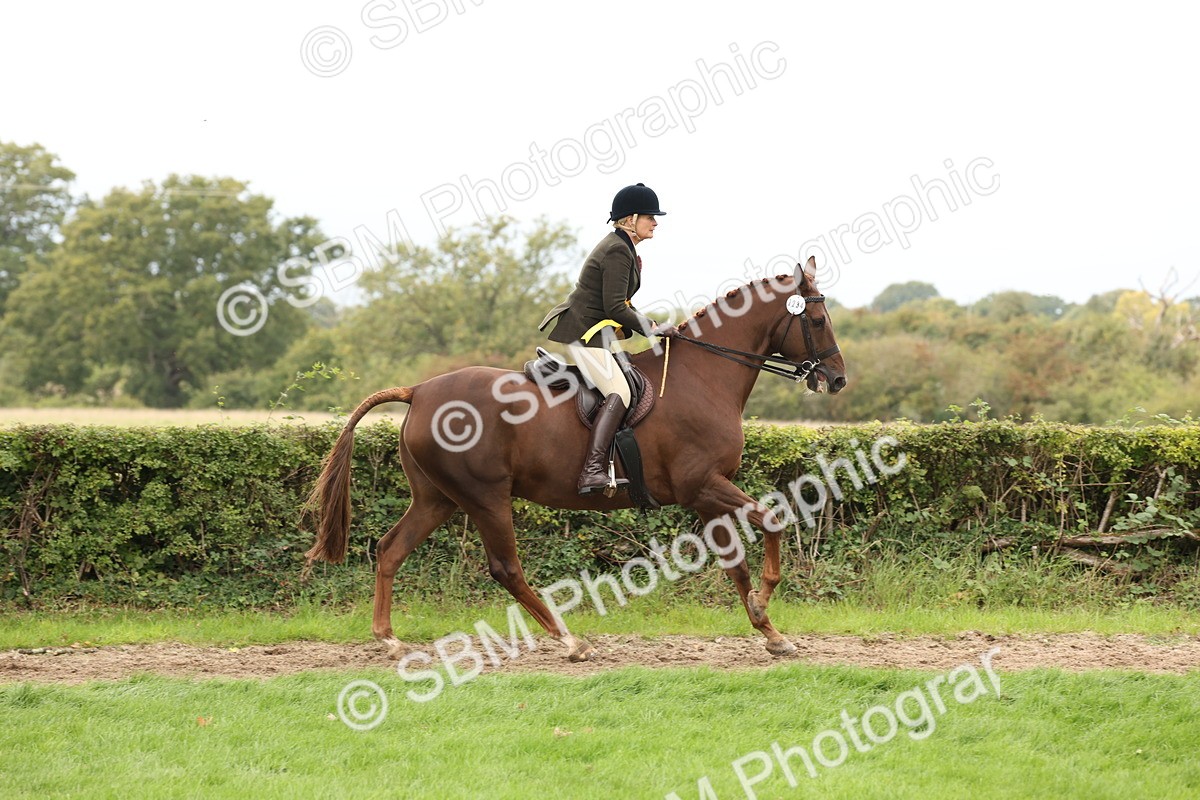 SBM_66421 - S66 - Hunter Ridden