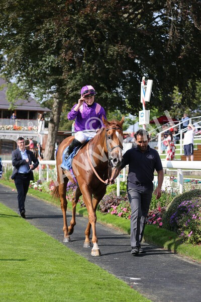 yr05092021r3-25 - Race 3 3.15pm The BioWaveGo Garrowby Stakes