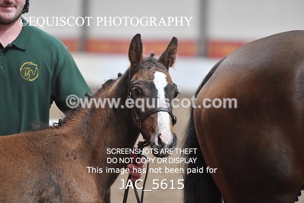 JAC_5615 - 13 Zi Real McCoy