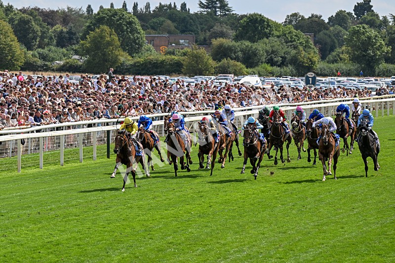 220826-Race 2-Infraad-0263 - Race 2 14.25pm Sky Bet Melrose Handicap