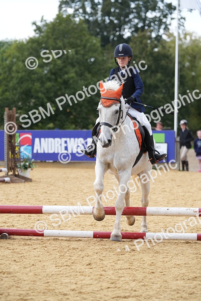 SBM_74686 - J4 - Mini Tour Junior Pony 45cm Championship