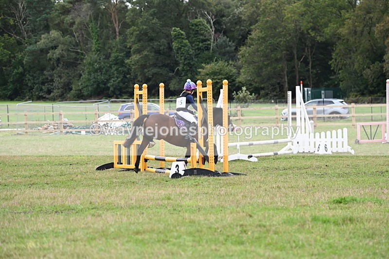 WJ6_0215 - 40cm Time 10:00 to 10:28