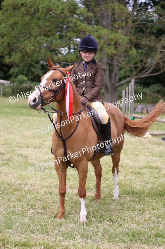 20260614-3178 - Class 22 - Open Working Hunter