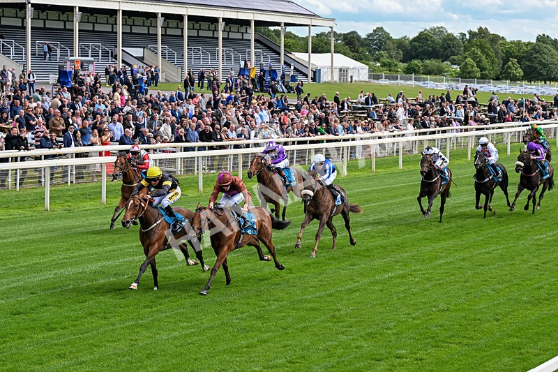 120626-Race 4-Big Negotiator-0225 - Race 4 15.35pm Juddmonte EBF Fillies' Restricted Novice