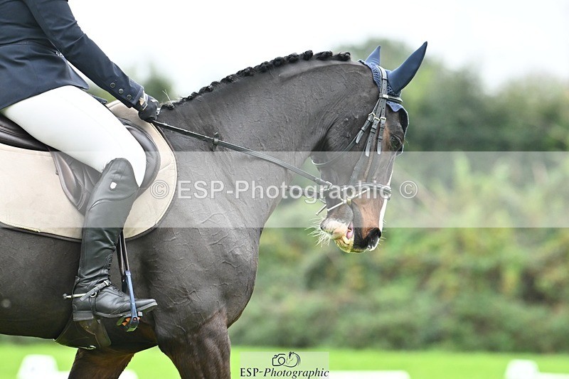 241024-135205-04227 - 330-Sophie.Drummond-EDELMAN