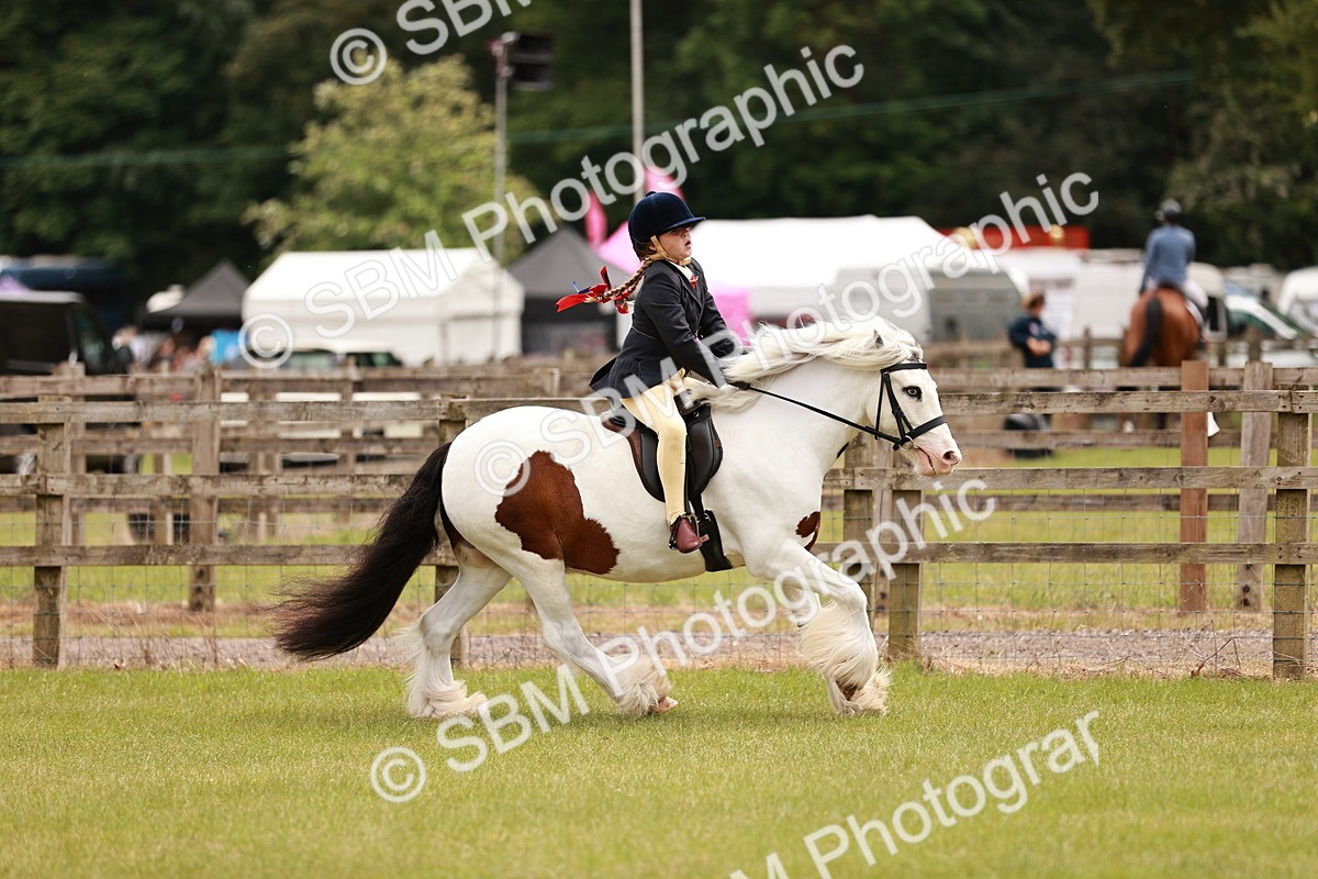 SBM_06236 - Class 39-41 TGCA In Hand and Ridden
