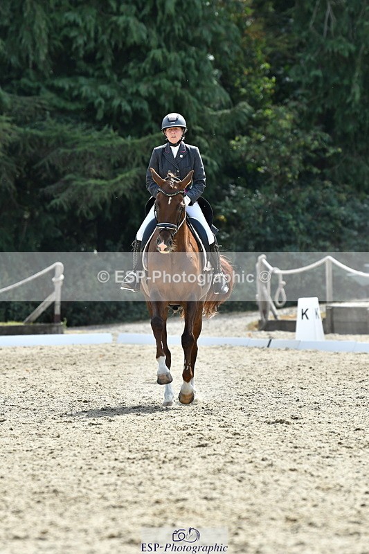 260802A-152521-07392 - Intermediate Bronze