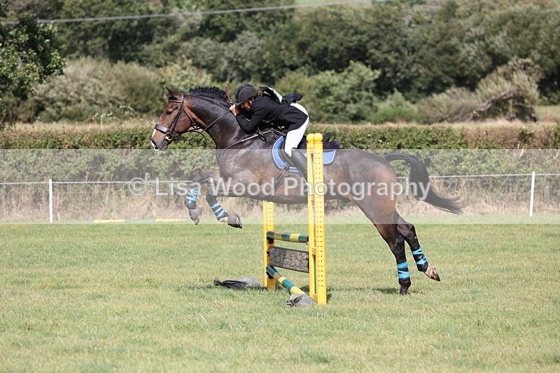 JPP_8821 - Class 2: Trekenning: 80cm Showjumping