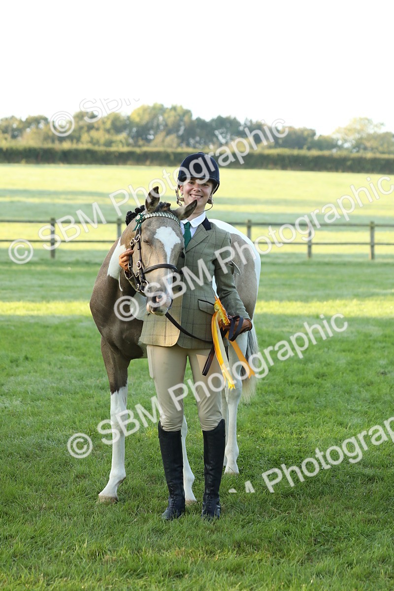 SBM_57871 - S42 - Youngstock