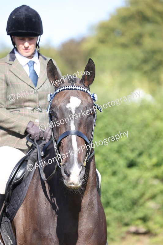 20260906-0382 - Class 14 - Ex Racehorse