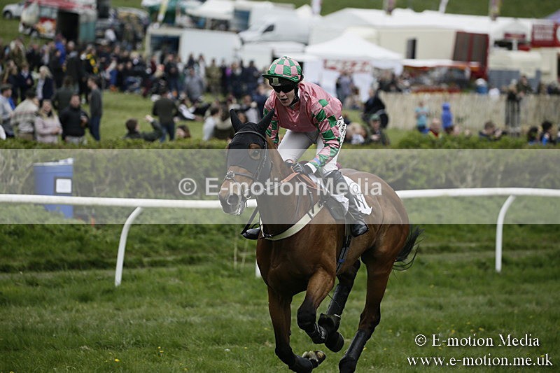 PtP 170417 566 - Old Berks Point-to-Point Lockinge 17/04/17