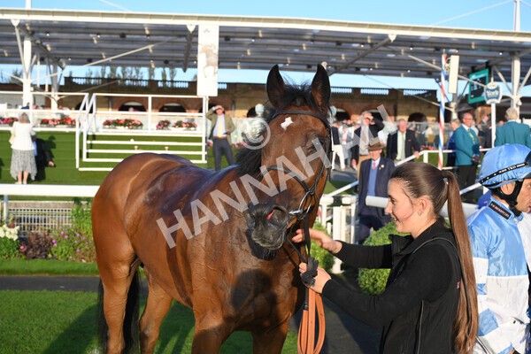 yr08102021r6-32 - Race 6 4.55pm Frank Whittle Partnership British EBF Restricted Novice Stakes