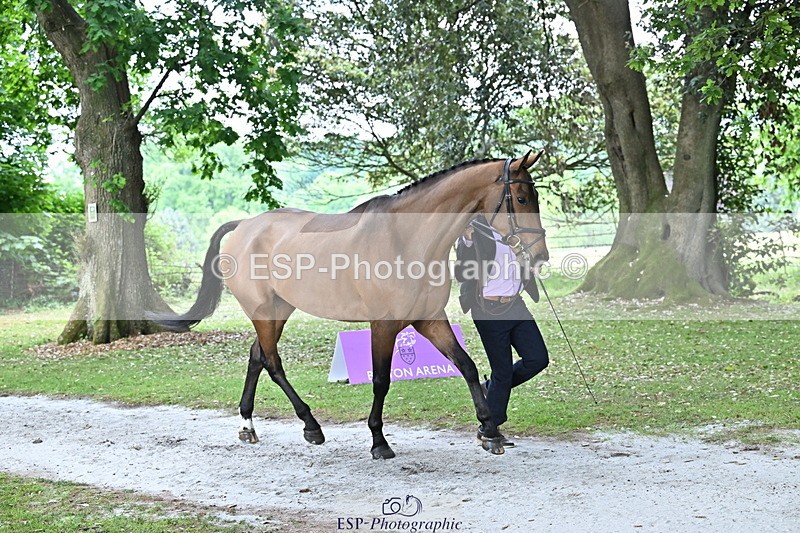 250521A-170432-01505 - C-284-Harry.Dzenis-KILBUNNY.MAXIMUS