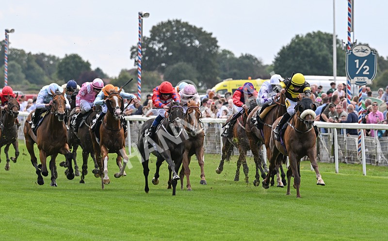 190826-000 Air Force One - Race 1 13.50pm Hong Kong Jockey Club World Pool Handicap