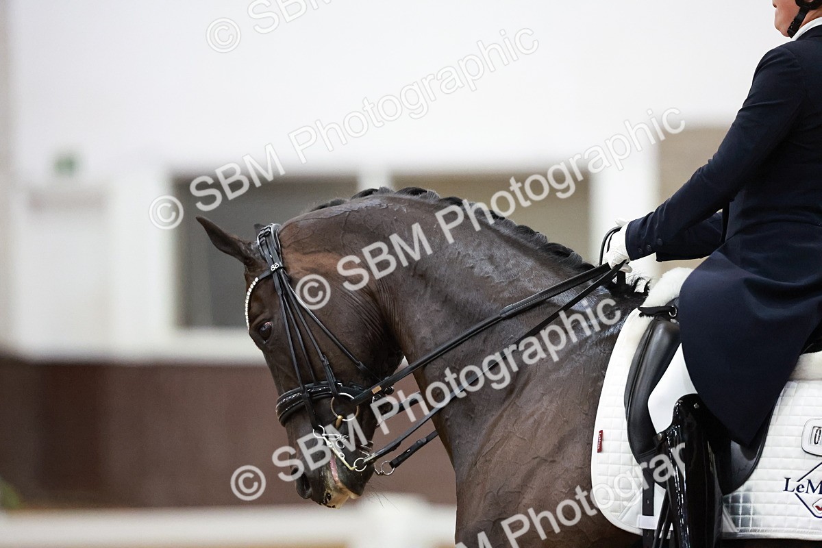 SBM_021663 - Class 14 - FEI Grand Prix - 18.52-19.37