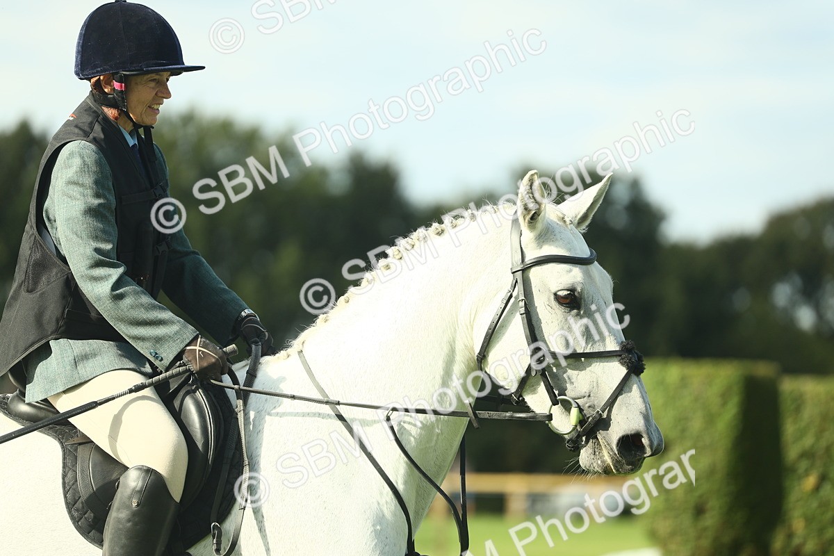 SBM_50572 - S33 - Working Hunter & Working Show Horse