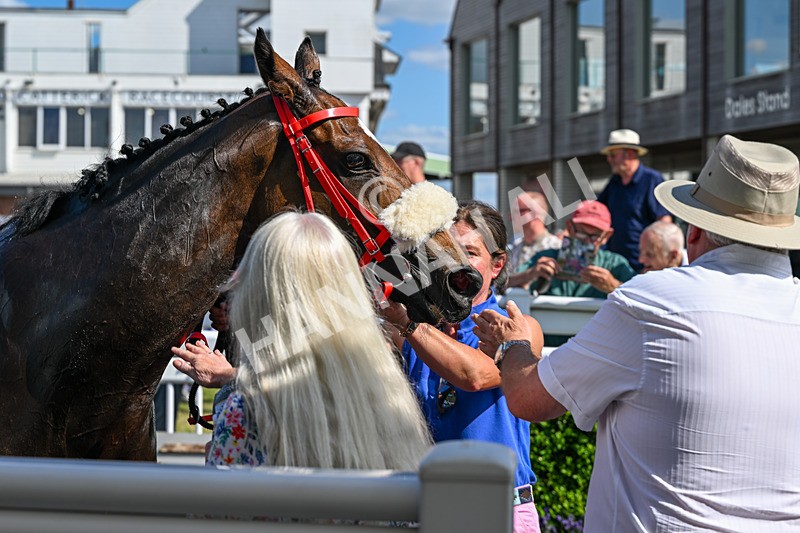 080726-Race 5-Sugarpiehoneybunch-7713 - Race 5 16.00pm Bet At racingtv.com Handicap