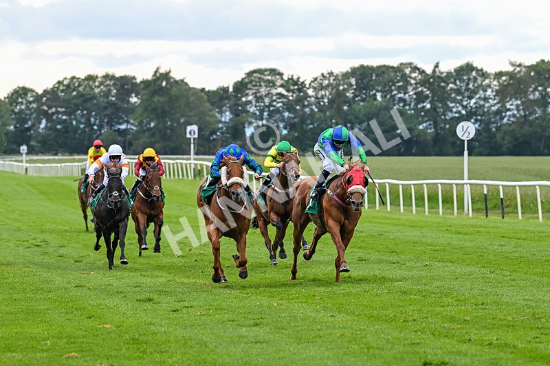 170625-Race 4-Lord Abama-5144 - Race 4