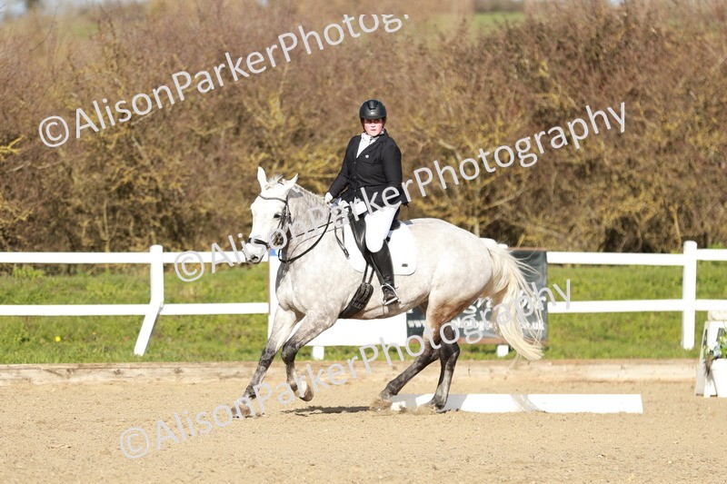 20260314-4494 - DR4 - Prelim 2