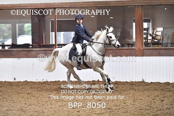 BPP_8050 - CLASS 1  Club/ Unaffiliated 60cms Open