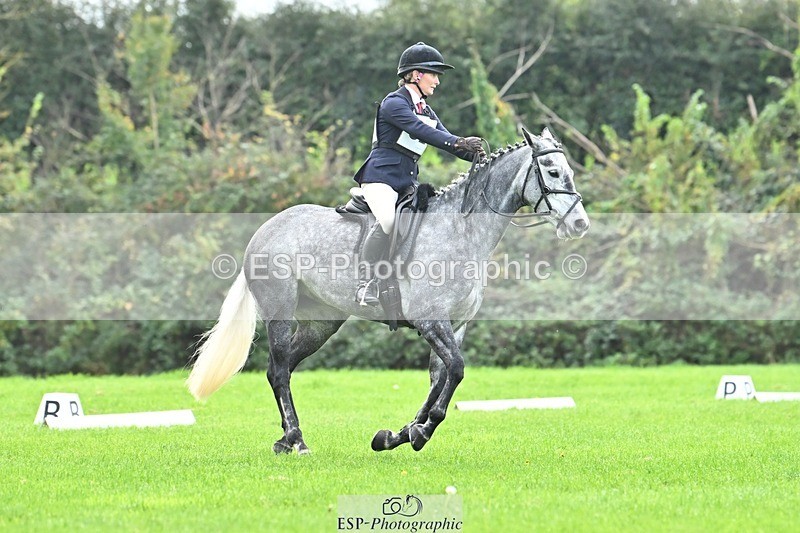 241024-115342-02531 - 320-Alice.Tollworthy-OUR.DOLPHIN.STAR