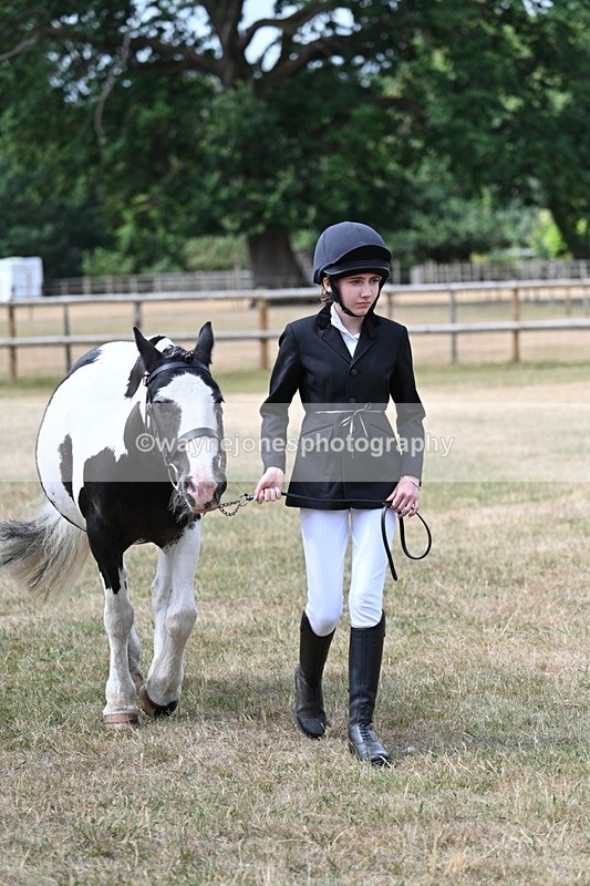 WJ7_1693 - Class 4 Prettiest Mare up to 14.2hh in hand