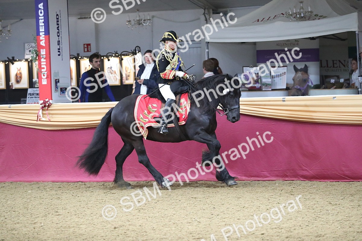 SBM_11997 - Class 106 Ridden Costume- Astride Adult (15-19)