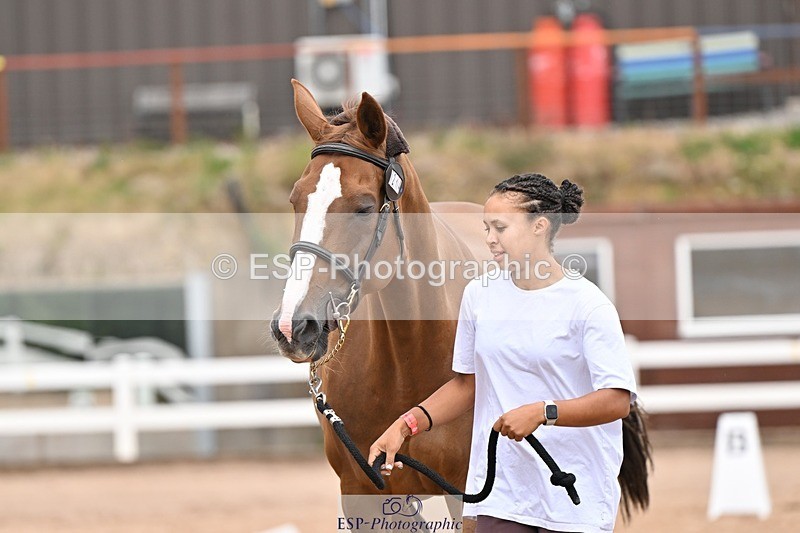 250716-162542-02631 - Trot Up 3.30 to 4.30