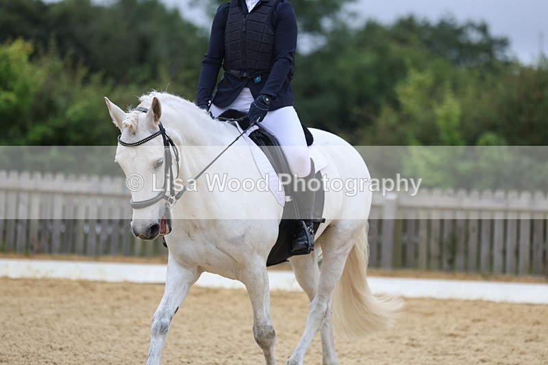 3E7A4664 - Class 1: Intro 4 2024 section A