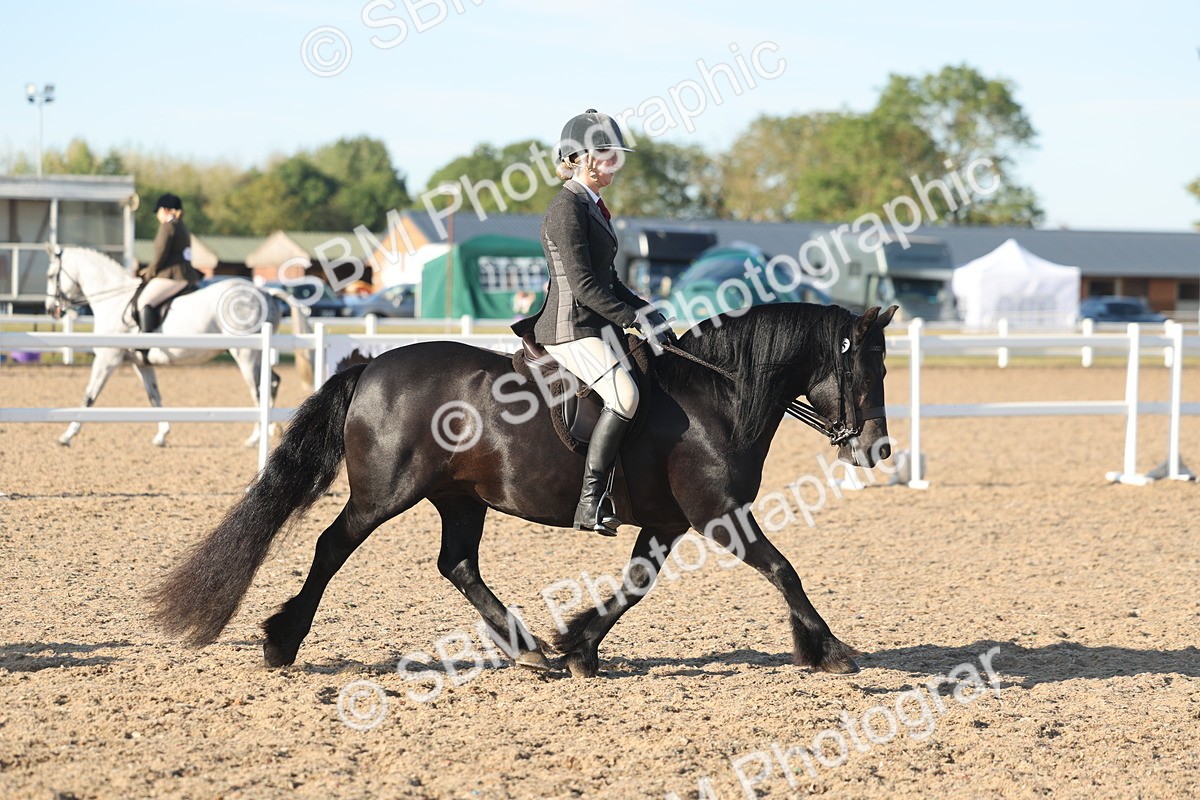 SBM_11022 - Class 302 - Ridden M&M Large Breeds